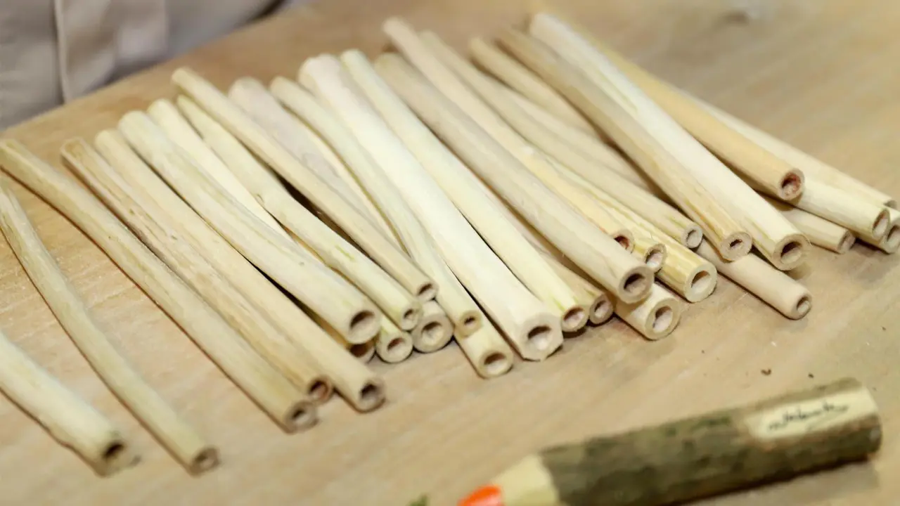 Las pajitas de saúco de Atalanta están hechas a partir de madera de proximidad